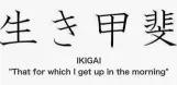 The Meaning of Ikigai: Your Life, Story & Legacy